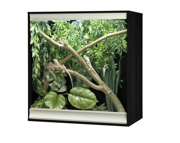 Vivexotic Viva+ Arboreal Reptile Vivarium Medium Black - Amazing Amazon
